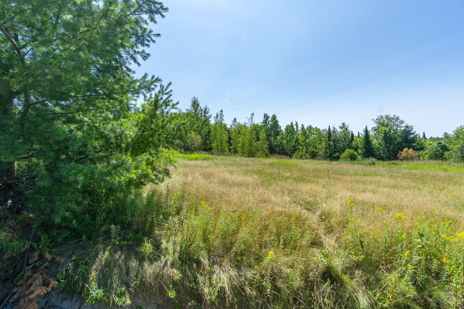 












Ch. Bouffard

,
Saint-Denis-de-Brompton,







QC
J0B2P0


