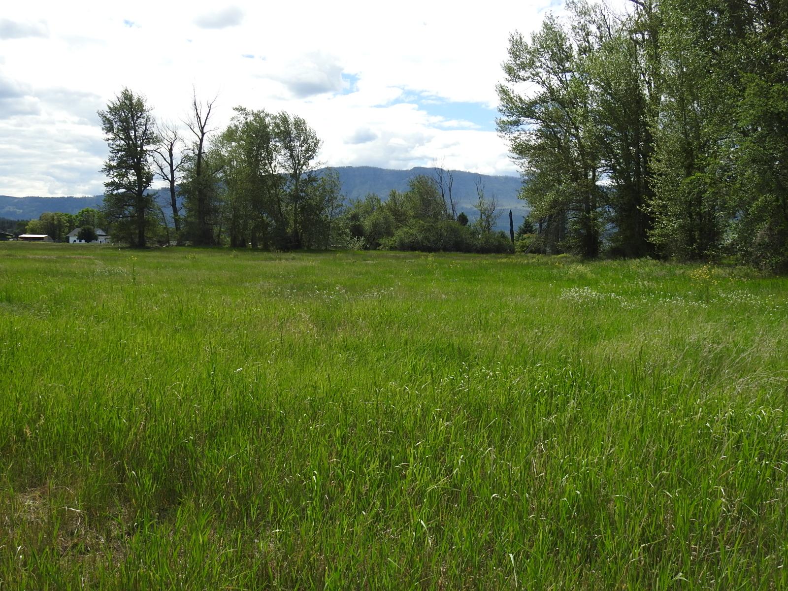 









5569


Kamloops-Vernon

Highway,
Westwold,







BC
V0E 3B1

