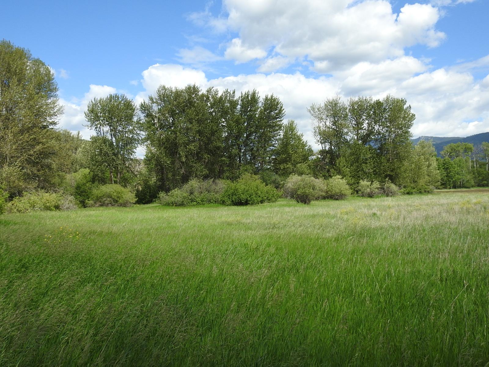 









5569


Kamloops-Vernon

Highway,
Westwold,







BC
V0E 3B1

