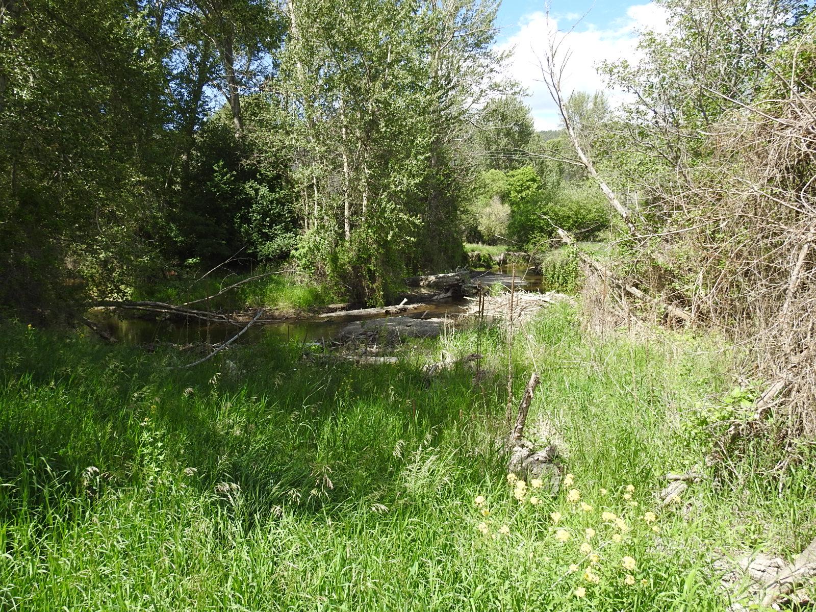 









5569


Kamloops-Vernon

Highway,
Westwold,







BC
V0E 3B1

