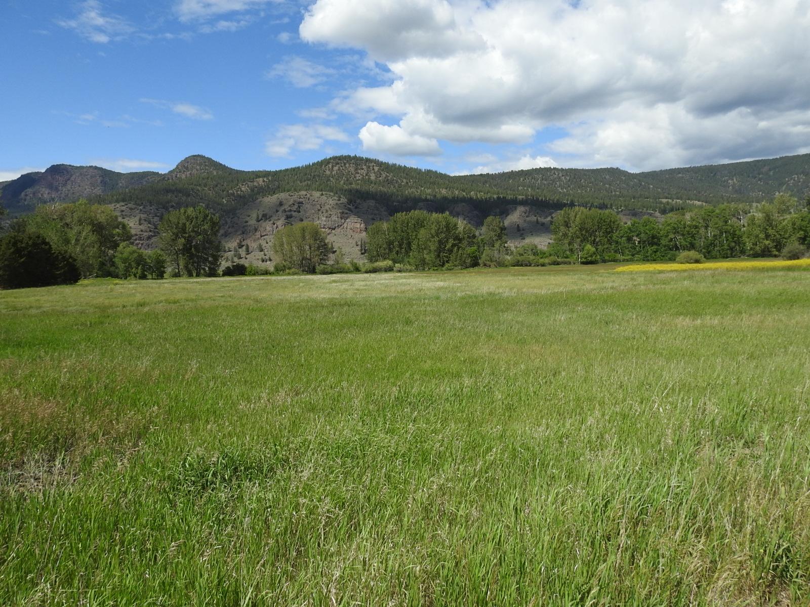









5569


Kamloops-Vernon

Highway,
Westwold,







BC
V0E 3B1

