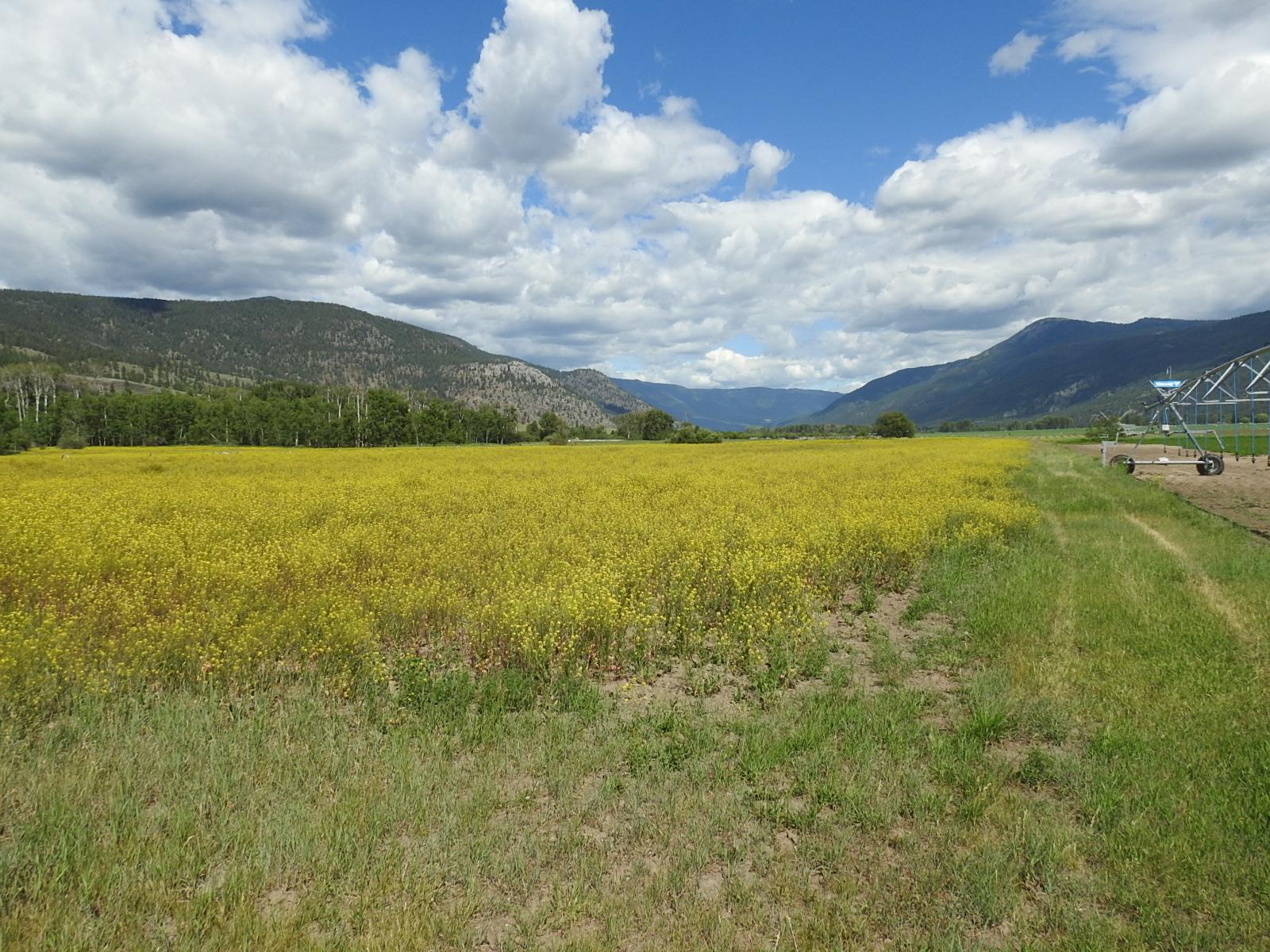 









5569


Kamloops-Vernon

Highway,
Westwold,







BC
V0E 3B1

