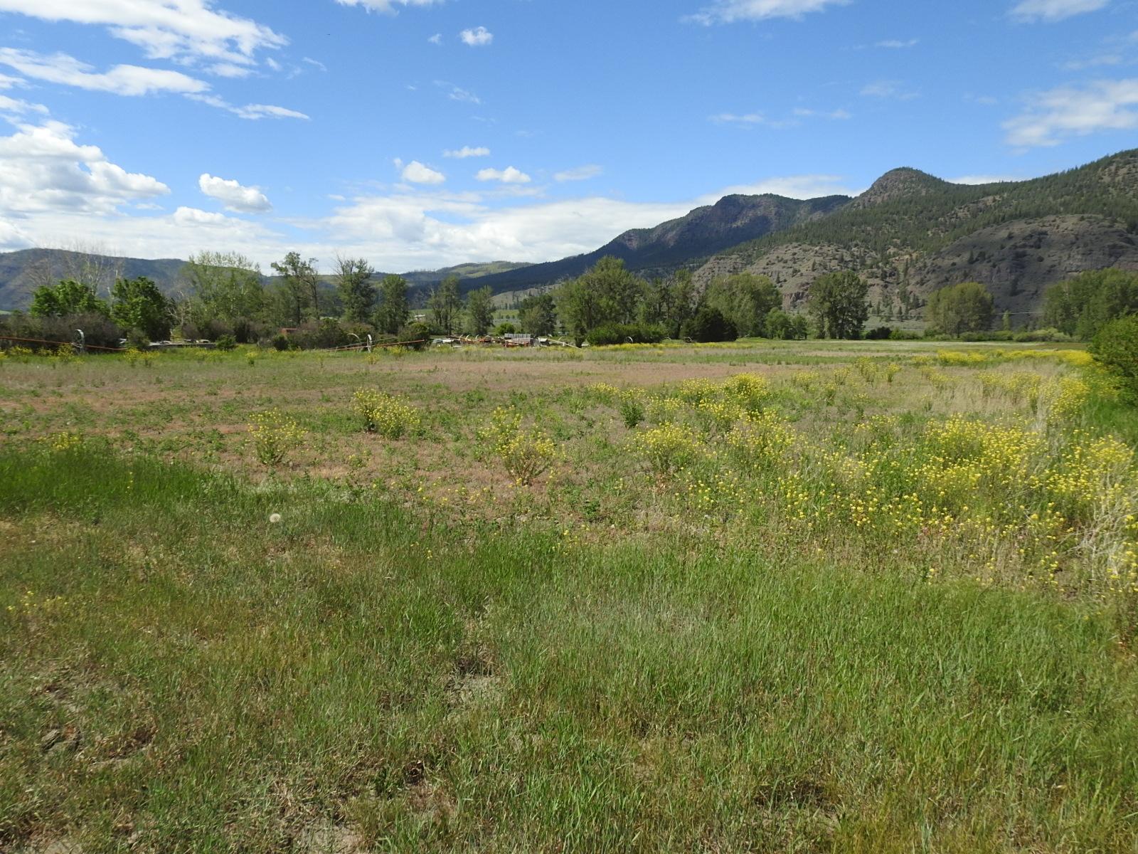 









5569


Kamloops-Vernon

Highway,
Westwold,







BC
V0E 3B1

