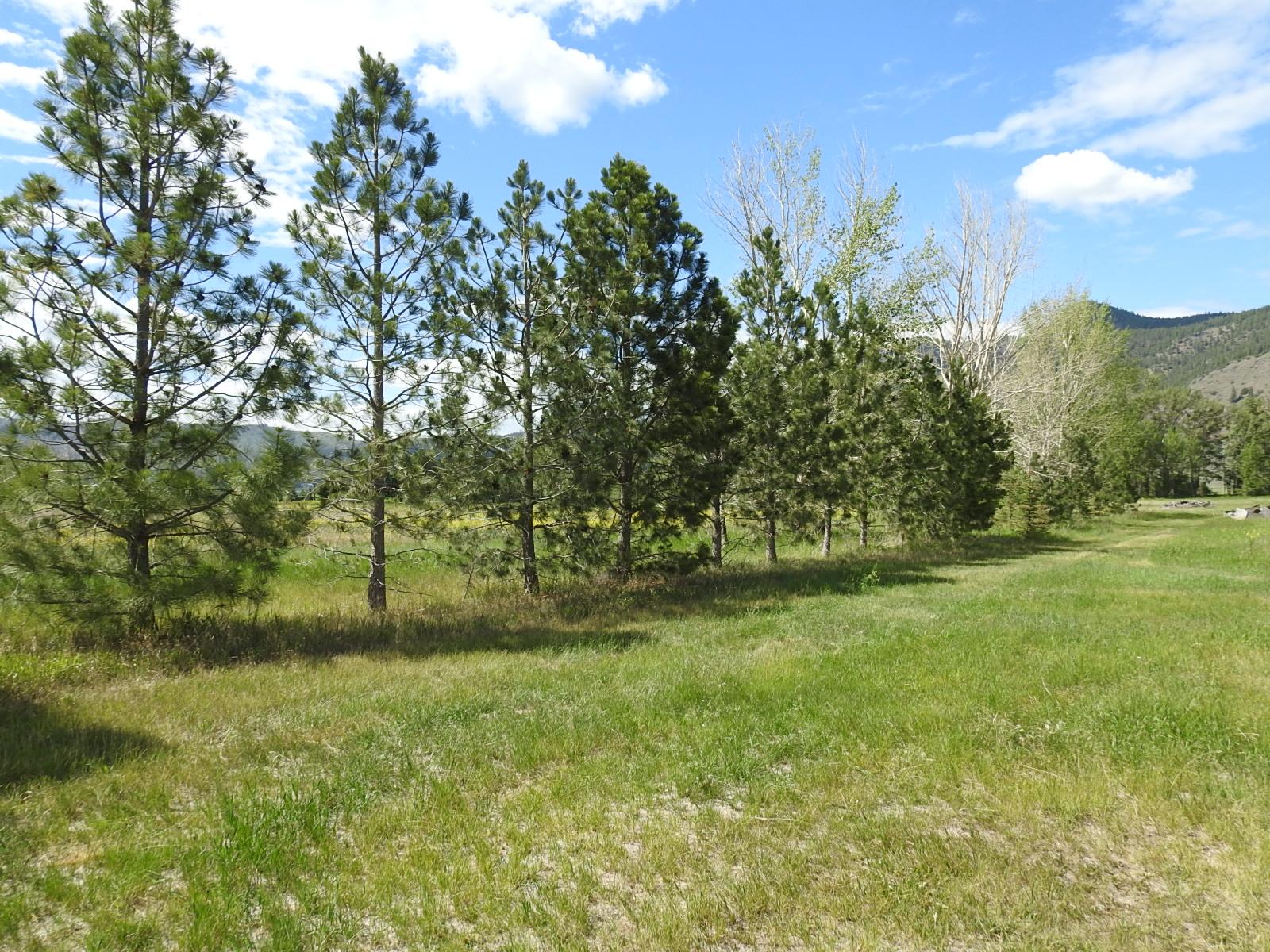 









5569


Kamloops-Vernon

Highway,
Westwold,







BC
V0E 3B1

