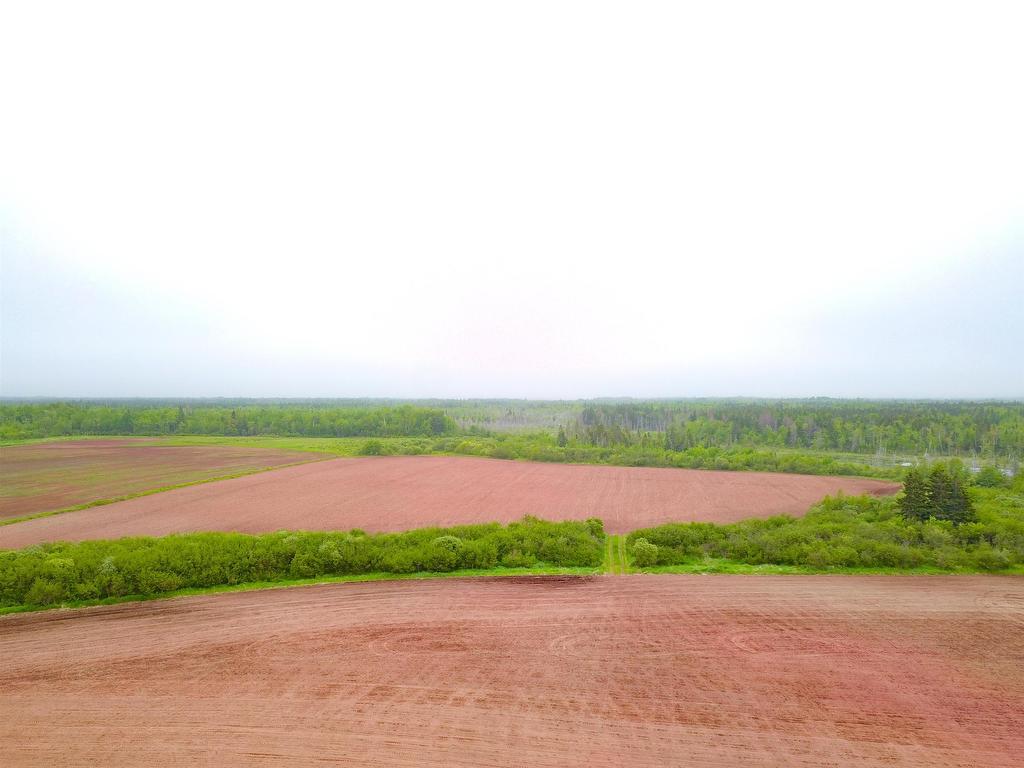 












Mcneils Mills Road

,
McNeills Mills,




PE
C0B 1J0

