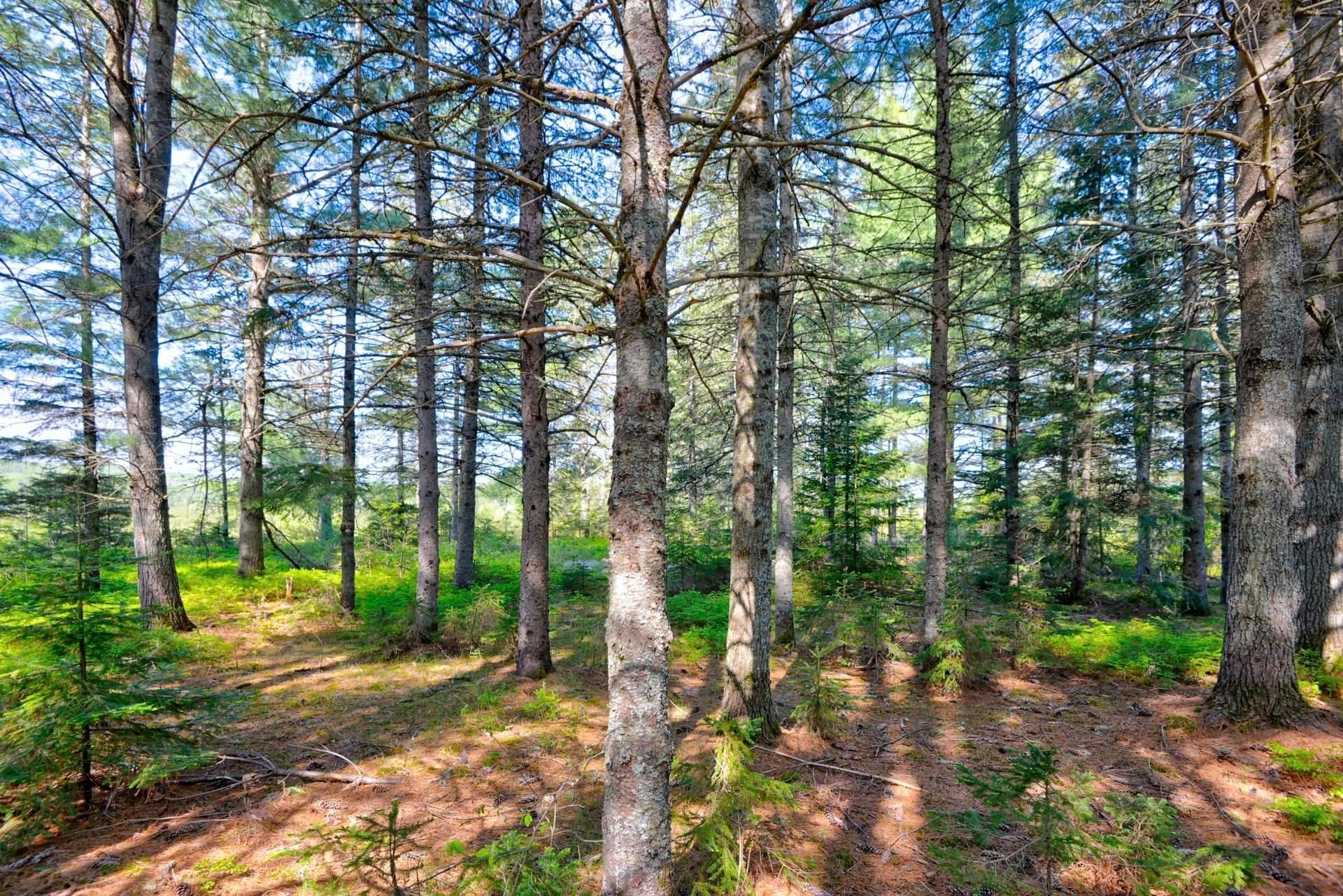 









1030


Route St-Joseph

,
Sainte-Émélie-de-l'Énergie,




QC
J0K2K0

