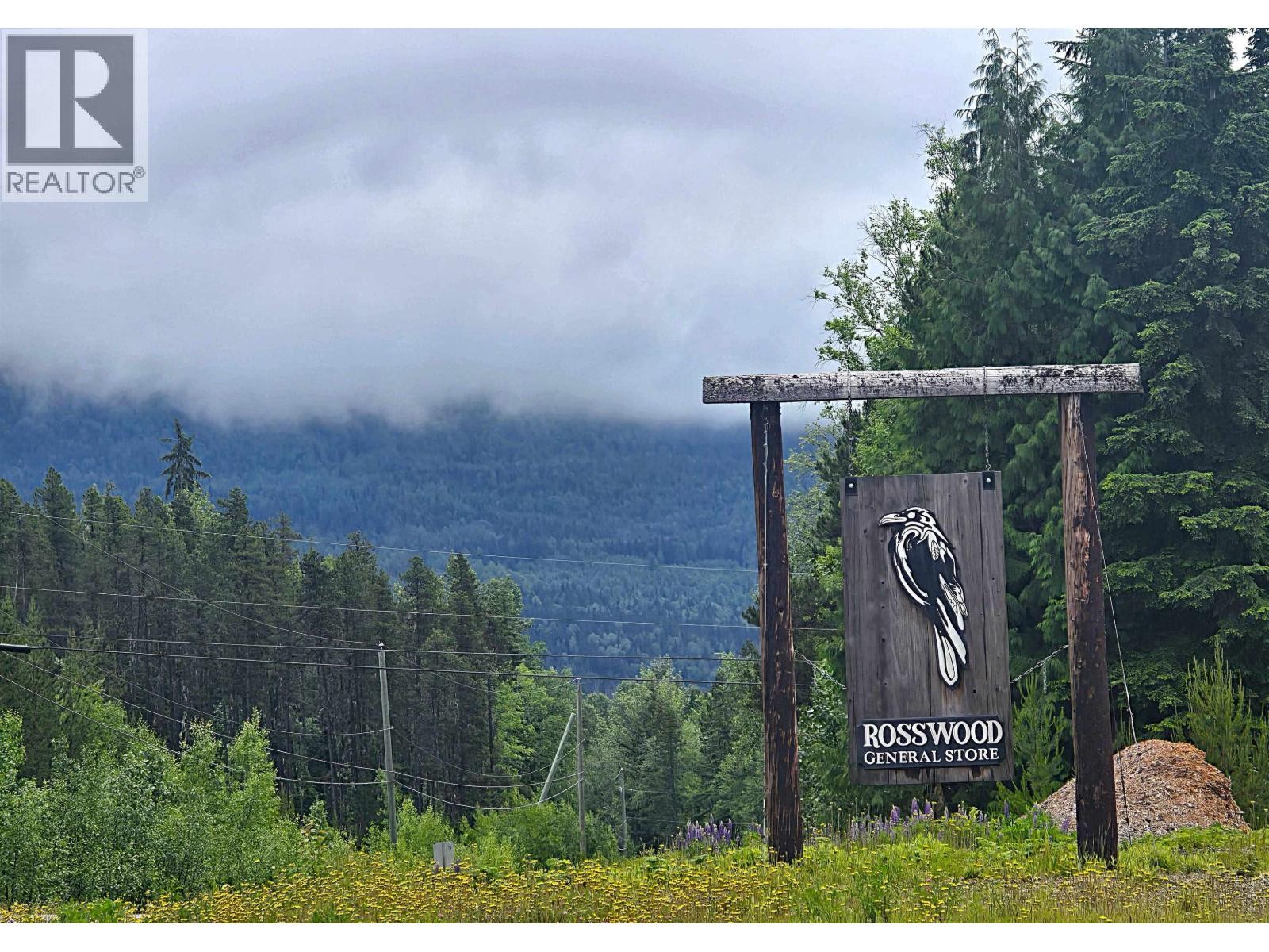 












LOT 13 CURTIS DRIVE

,
Rosswood Nass,







British Columbia
V8G0G8

