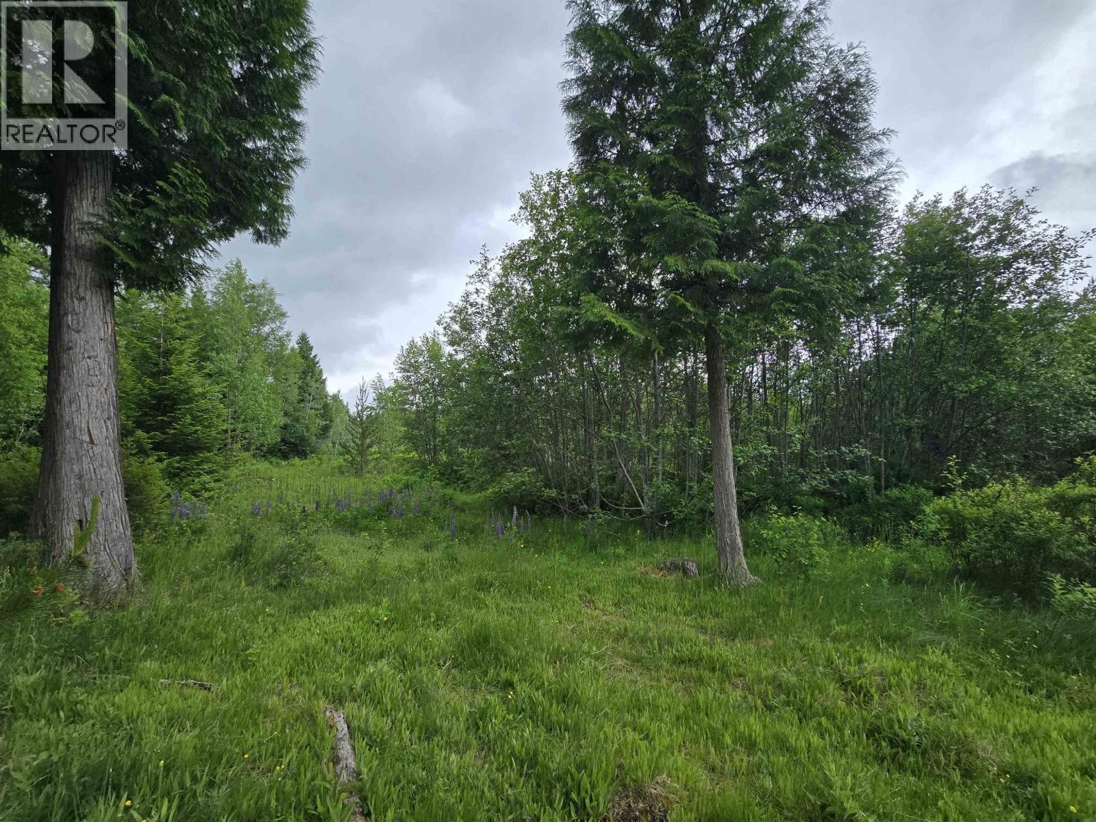 












LOT 13 CURTIS DRIVE

,
Rosswood Nass,







British Columbia
V8G0G8

