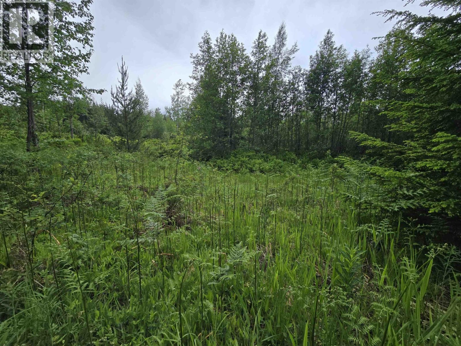 












LOT 13 CURTIS DRIVE

,
Rosswood Nass,







British Columbia
V8G0G8

