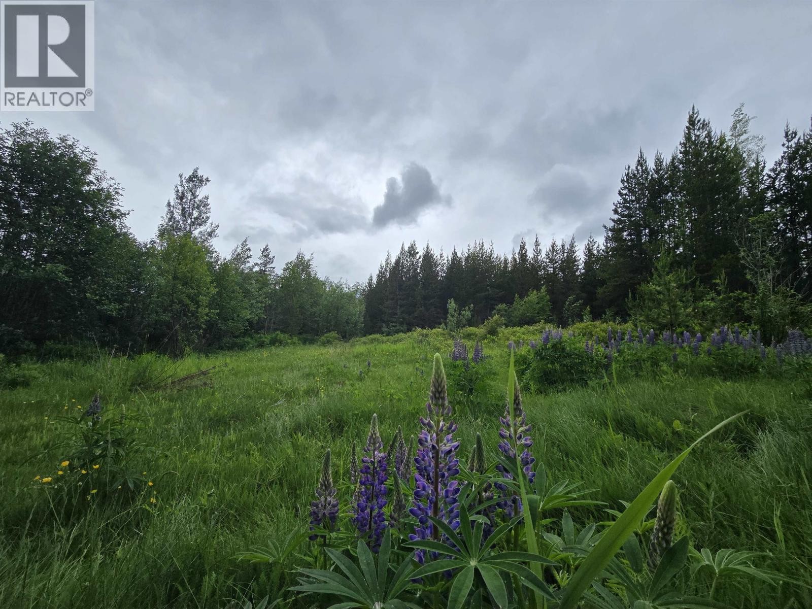 












LOT 13 CURTIS DRIVE

,
Rosswood Nass,







British Columbia
V8G0G8

