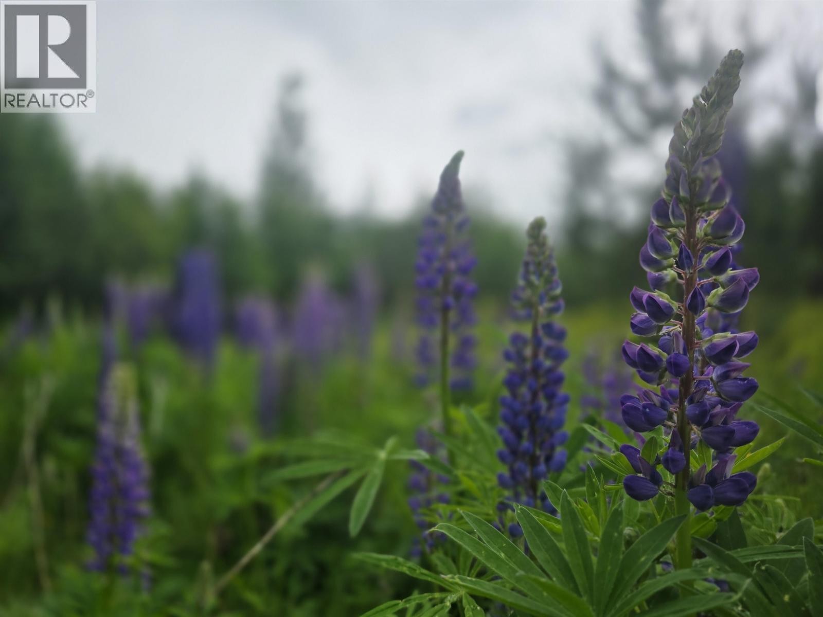 












LOT 13 CURTIS DRIVE

,
Rosswood Nass,







British Columbia
V8G0G8

