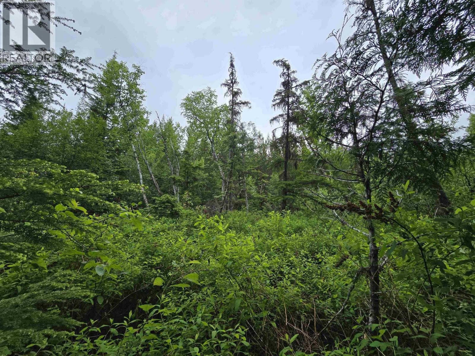 












LOT 13 CURTIS DRIVE

,
Rosswood Nass,







British Columbia
V8G0G8

