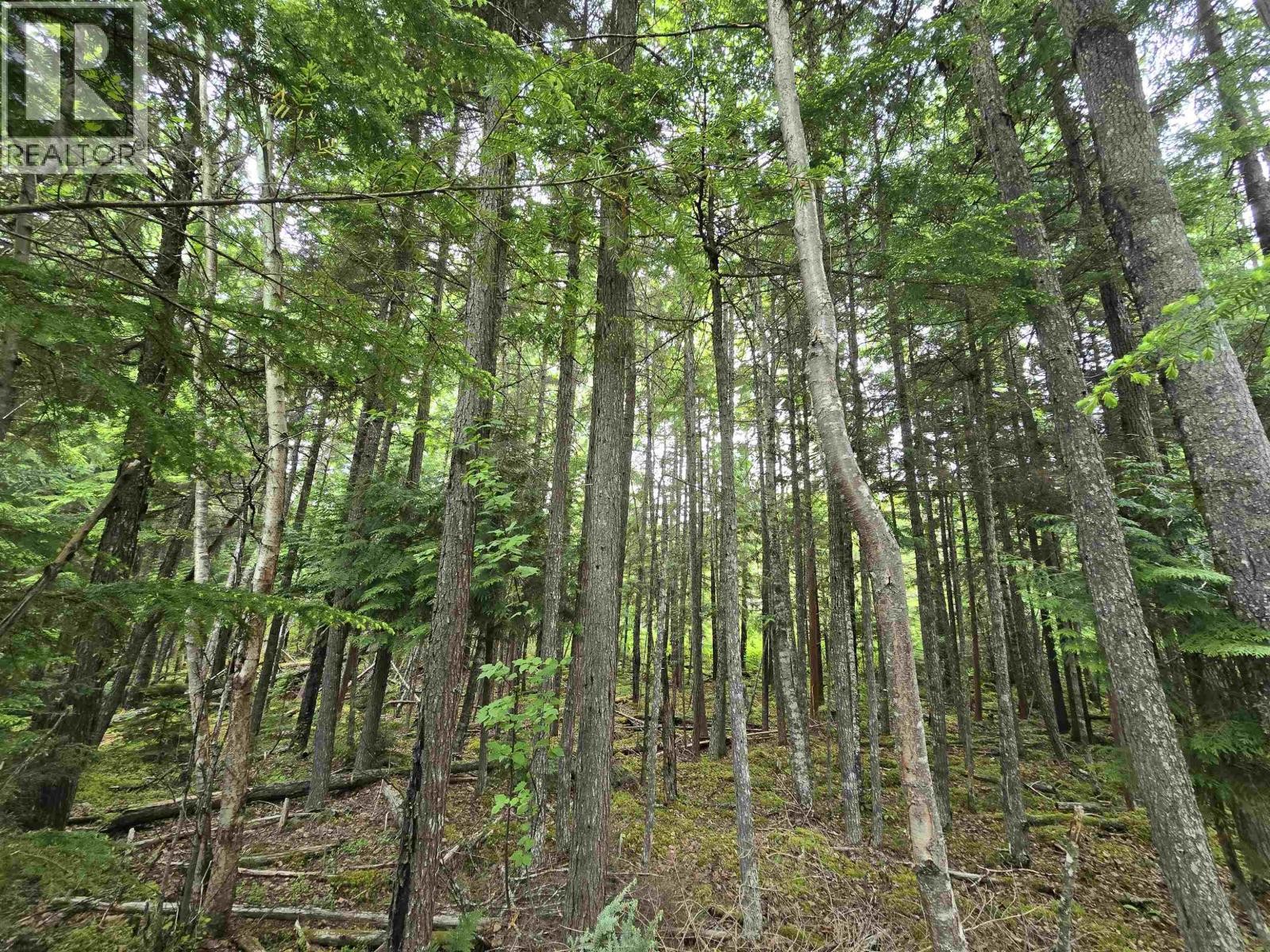 












LOT 13 CURTIS DRIVE

,
Rosswood Nass,







British Columbia
V8G0G8

