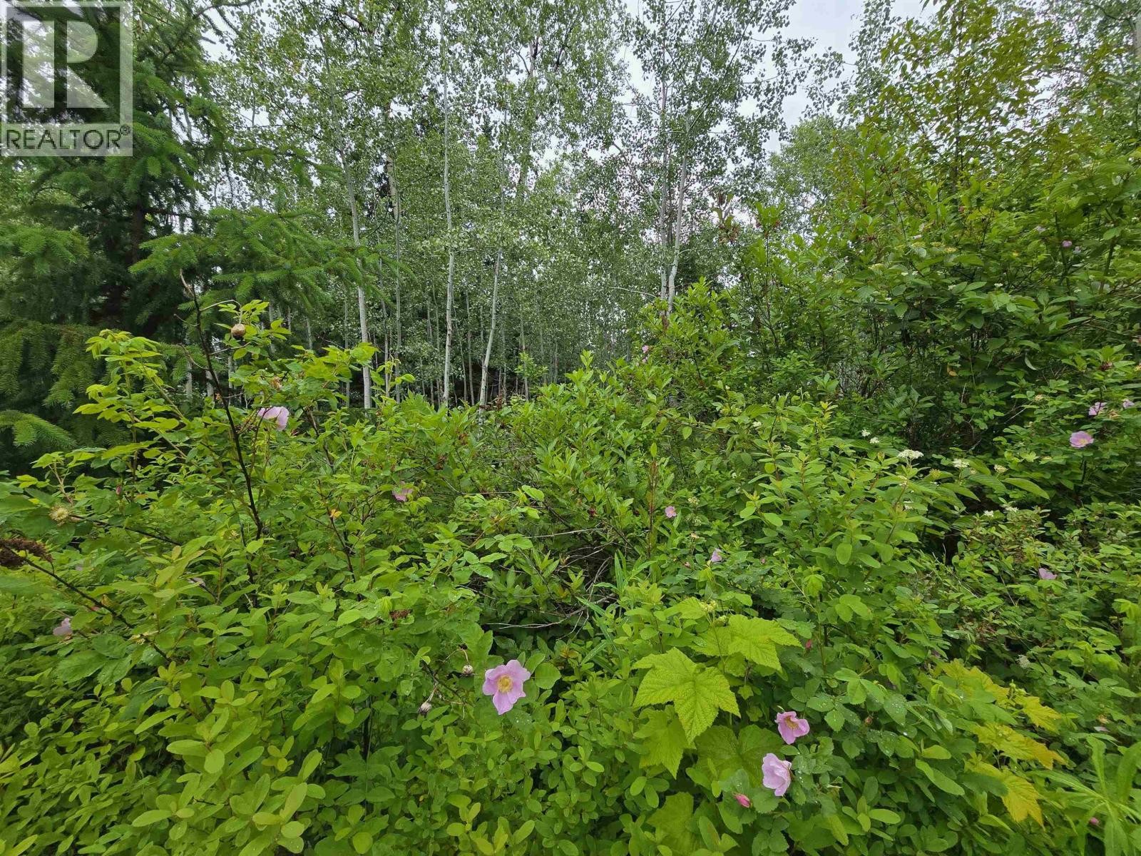 












LOT 13 CURTIS DRIVE

,
Rosswood Nass,







British Columbia
V8G0G8

