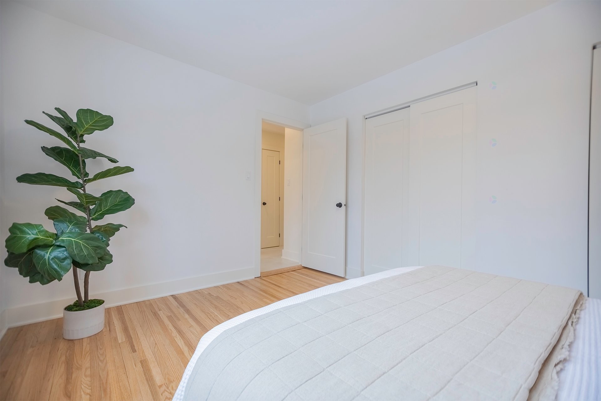









892


Rue Nicolet

,
Longueuil (Le Vieux-Longueuil),




QC
J4J4T4

