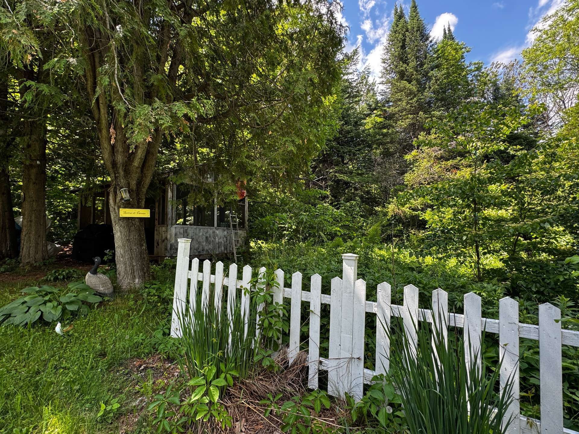 









221


Ch. de la Rivière-Maskinongé

,
Harrington,




QC
J8G2S4

