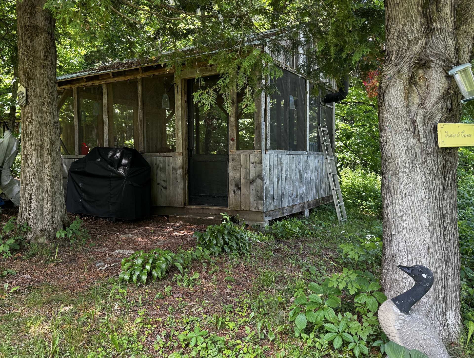 









221


Ch. de la Rivière-Maskinongé

,
Harrington,




QC
J8G2S4

