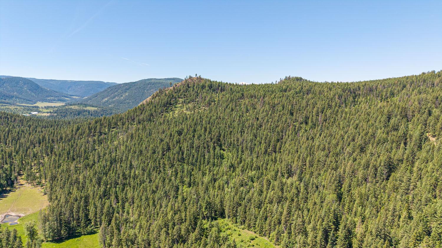 









187


Gibson

Road,
Lumby,




BC
V0E 2G1

