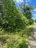 Roadside Aspect