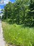 Facing East of Property
