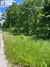 West side-500 meters approx. to Balsam Lake
