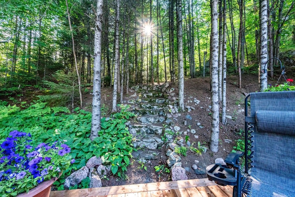 









28


Ch. Mitchell

,
Otter Lake,




QC
J0X2P0

