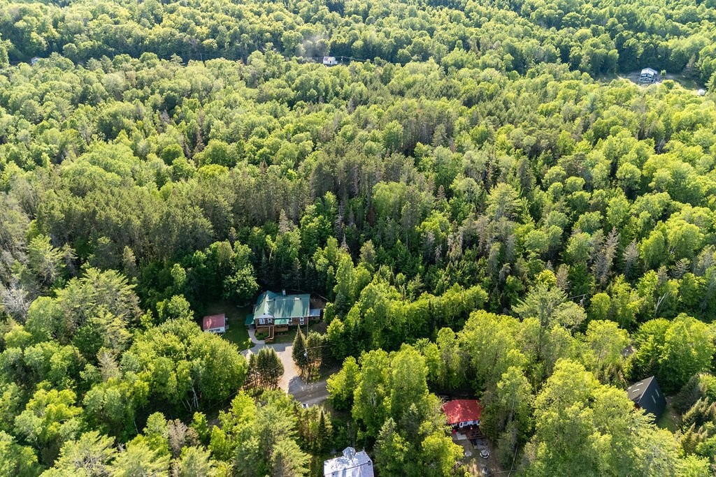 









28


Ch. Mitchell

,
Otter Lake,




QC
J0X2P0

