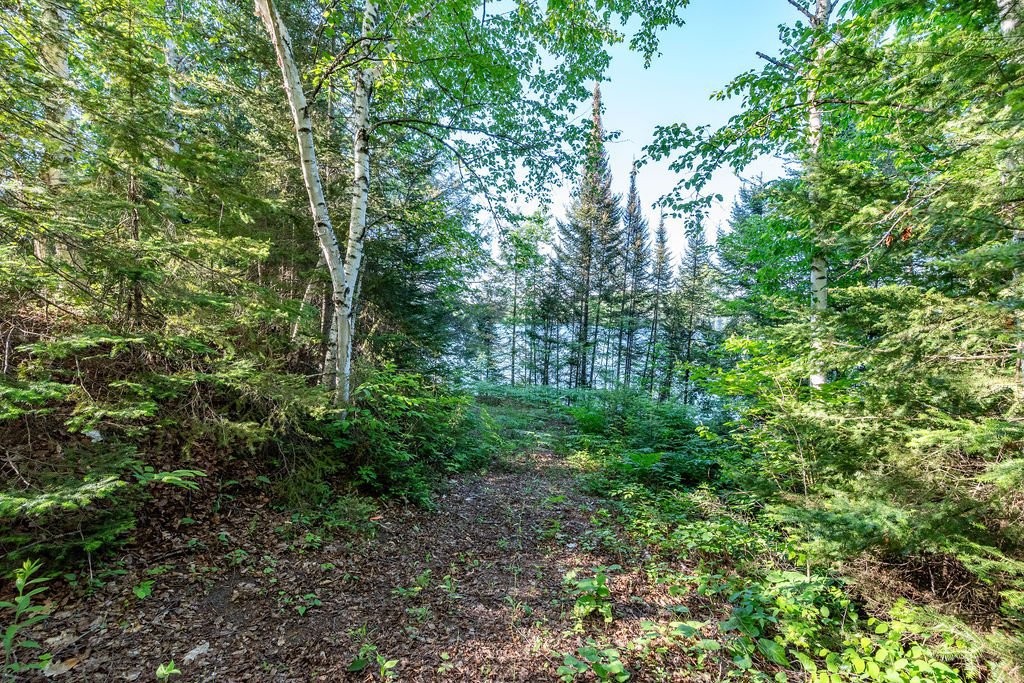 









28


Ch. Mitchell

,
Otter Lake,




QC
J0X2P0

