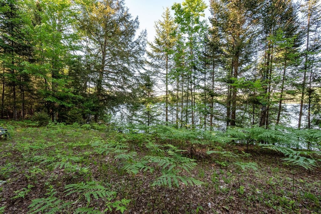 









28


Ch. Mitchell

,
Otter Lake,




QC
J0X2P0


