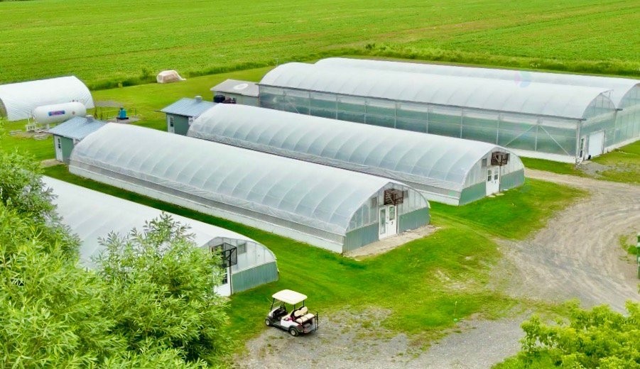 









51


Rue Principale N.

,
Saint-Bruno-de-Guigues,




QC
J0Z2G0

