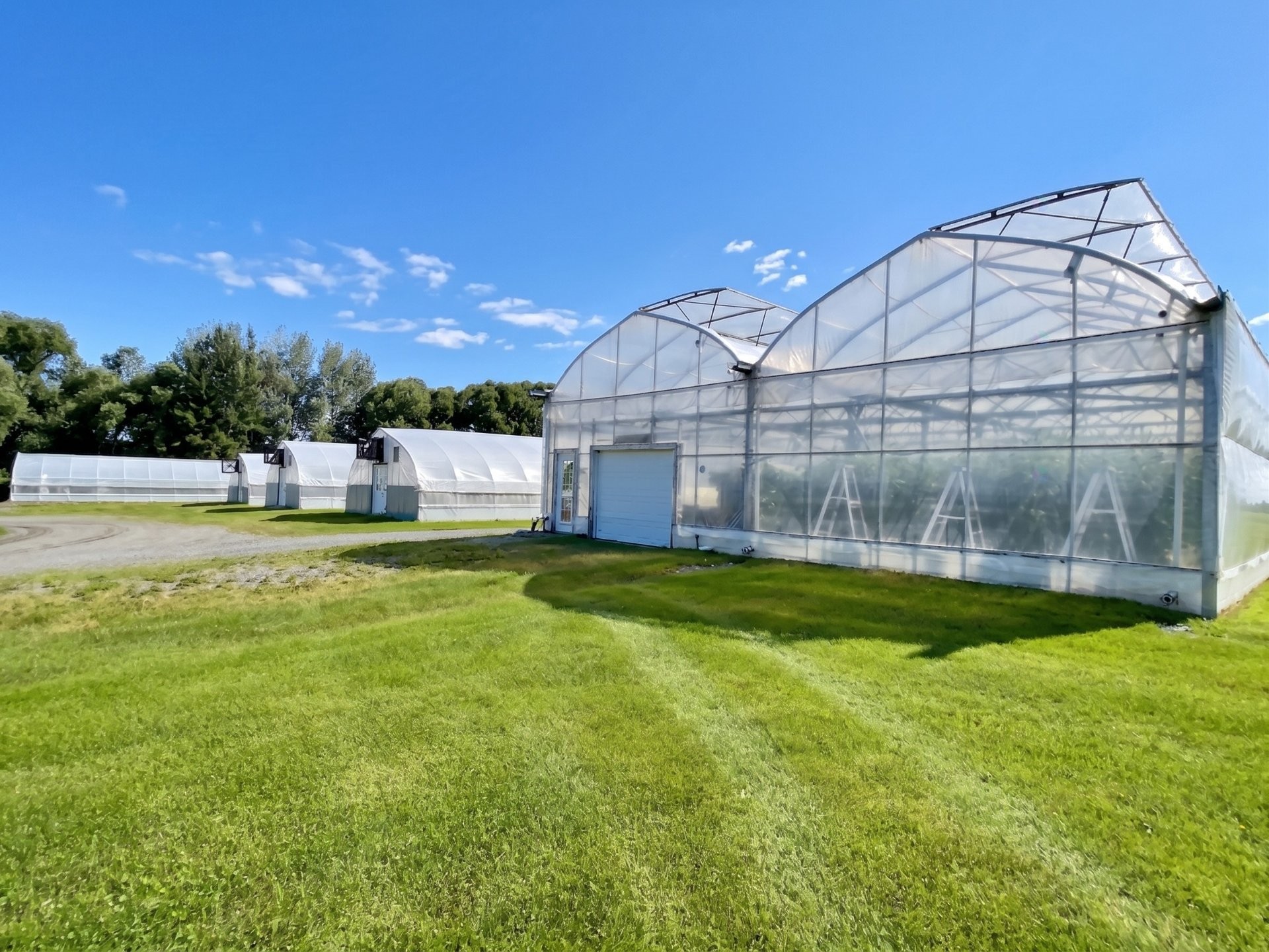 









51


Rue Principale N.

,
Saint-Bruno-de-Guigues,




QC
J0Z2G0

