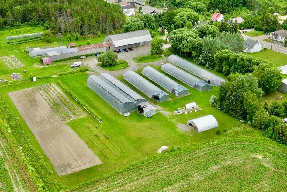 









51


Rue Principale N.

,
Saint-Bruno-de-Guigues,




QC
J0Z2G0

