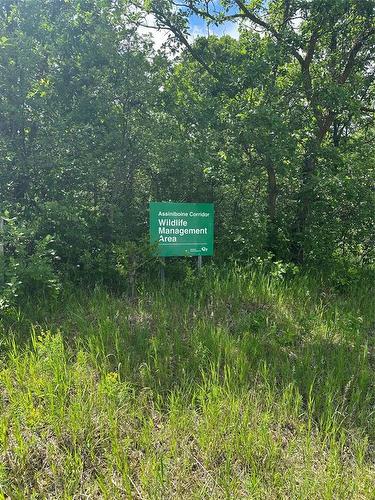 Located across is Wildlife Management