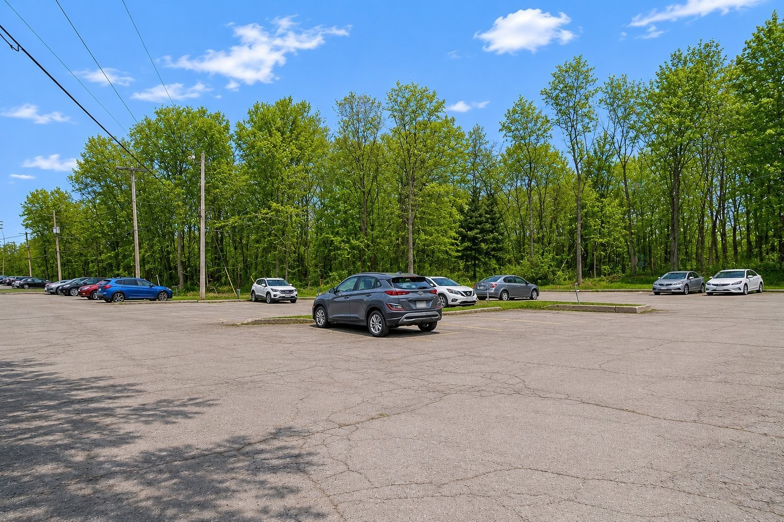 









770


Av. Ampère

, 2,
Laval (Laval-des-Rapides),




QC
H7N6G7

