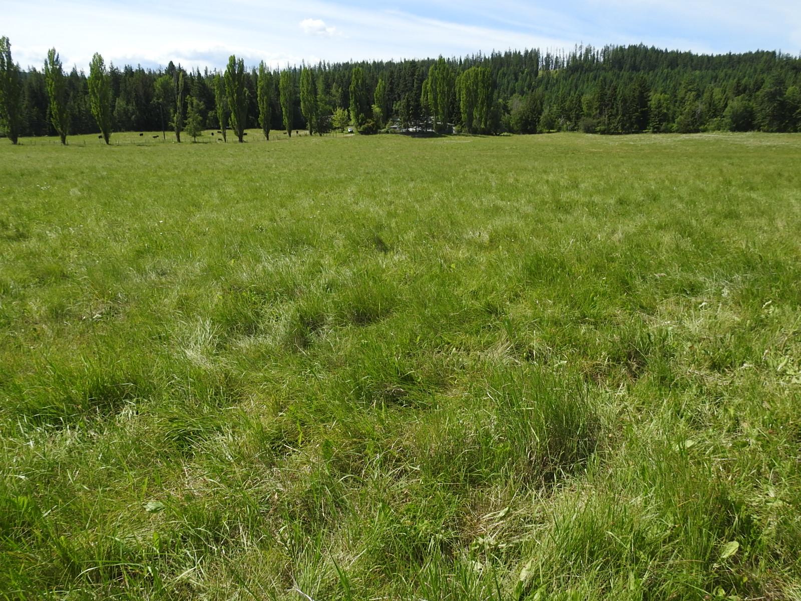 









Lot 149


6

Highway,
Cherryville,







BC
V0E 2G3

