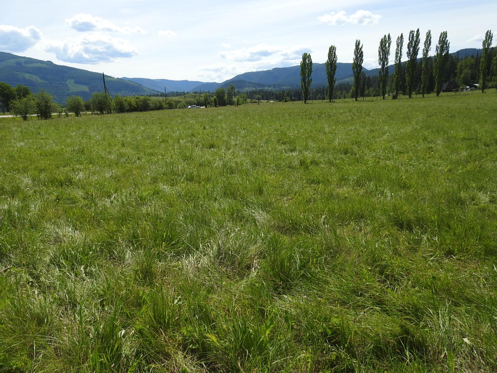 









Lot 149


6

Highway,
Cherryville,







BC
V0E 2G3

