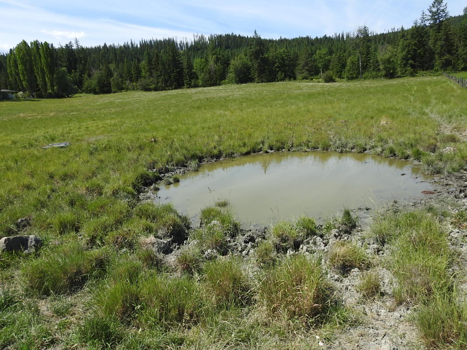 









Lot 149


6

Highway,
Cherryville,







BC
V0E 2G3


