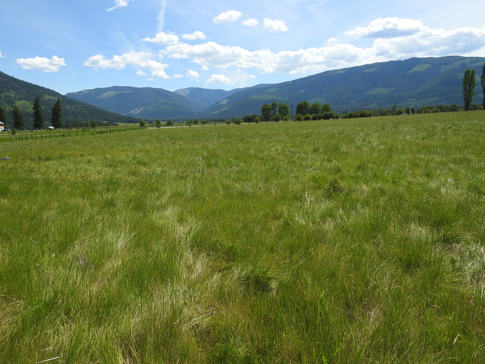 









Lot 149


6

Highway,
Cherryville,







BC
V0E 2G3

