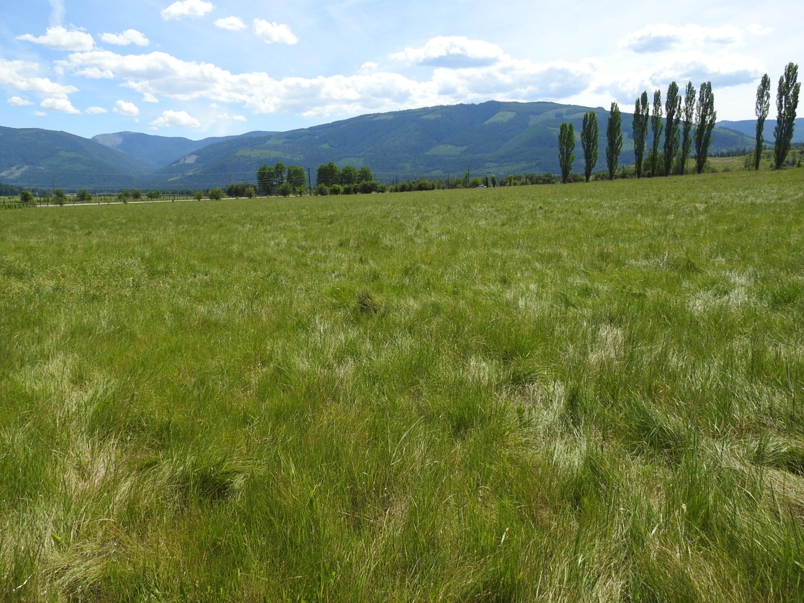 









Lot 149


6

Highway,
Cherryville,







BC
V0E 2G3

