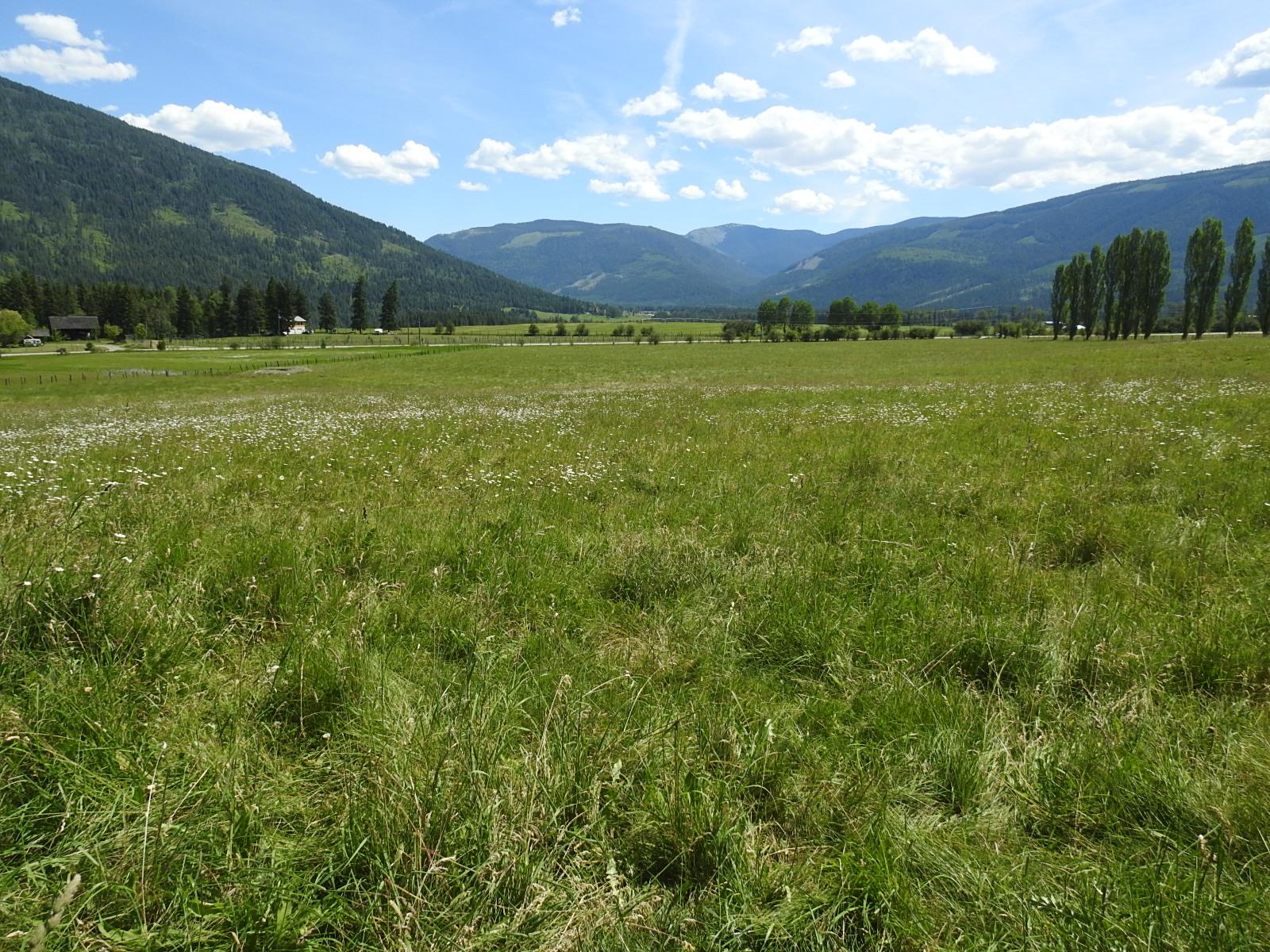 









Lot 149


6

Highway,
Cherryville,







BC
V0E 2G3

