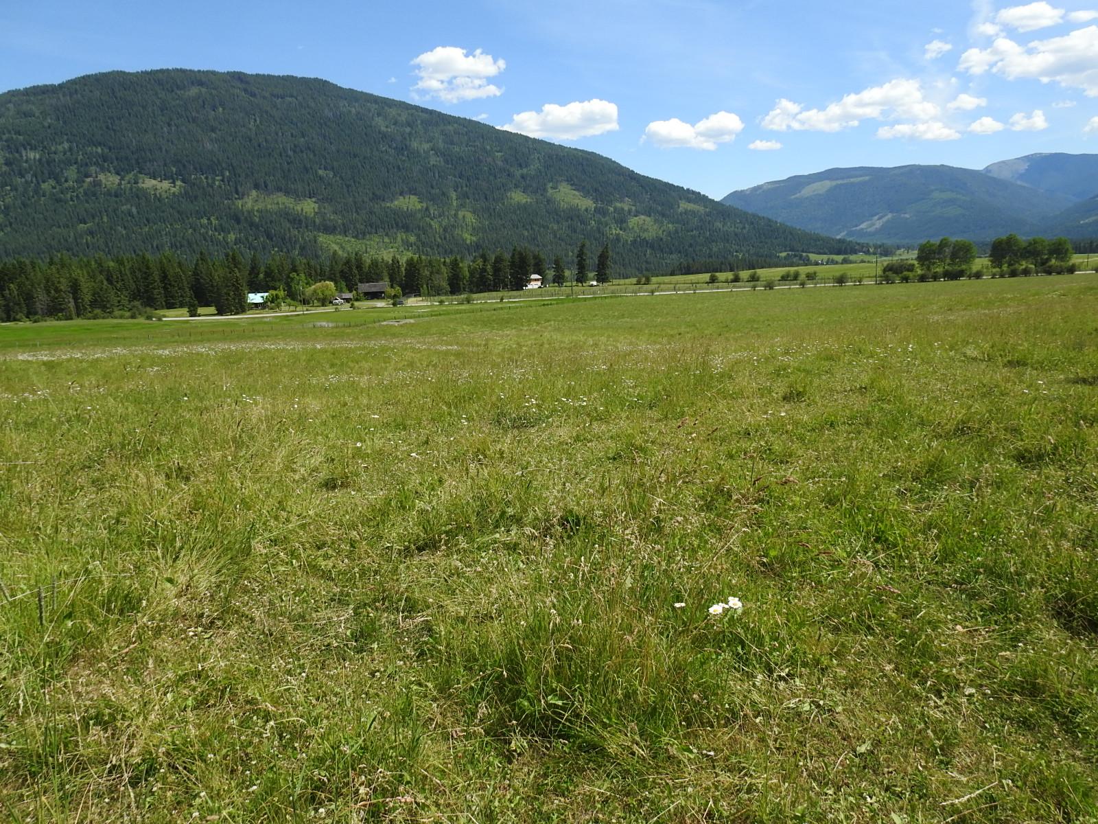 









Lot 149


6

Highway,
Cherryville,







BC
V0E 2G3

