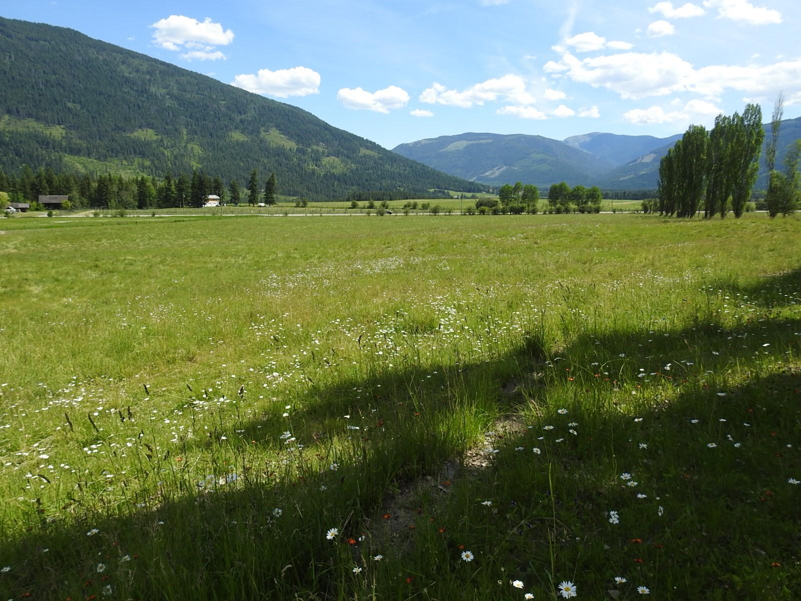 









Lot 149


6

Highway,
Cherryville,







BC
V0E 2G3

