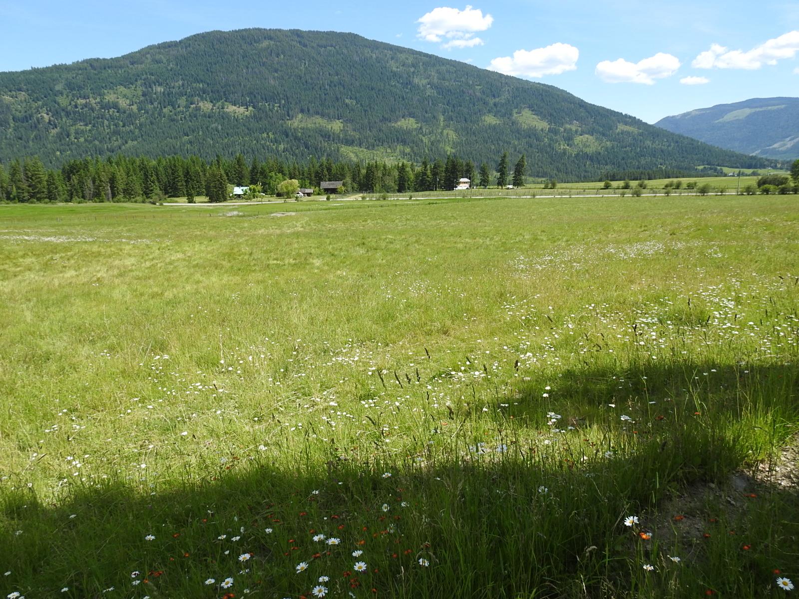 









Lot 149


6

Highway,
Cherryville,







BC
V0E 2G3

