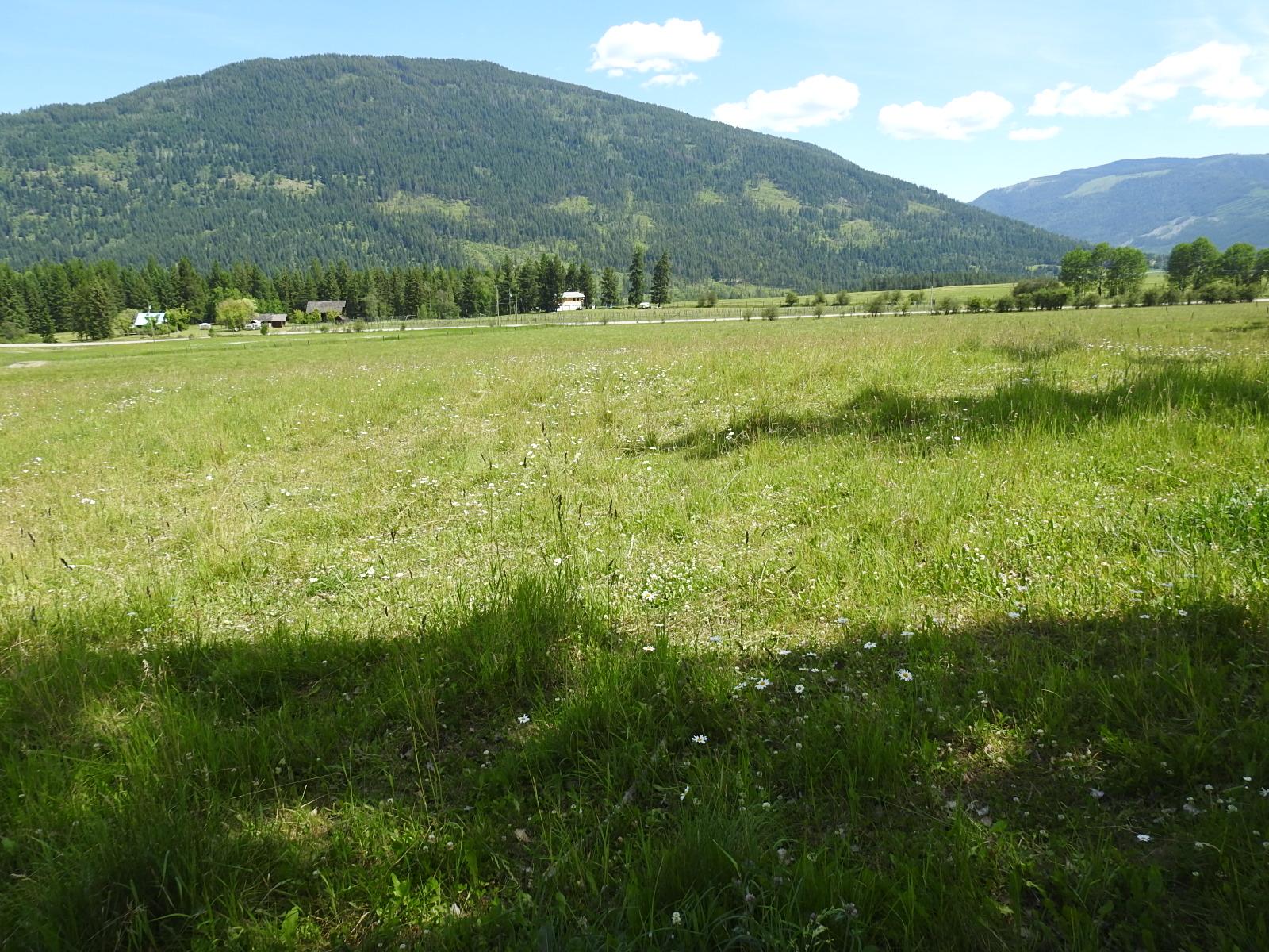 









Lot 149


6

Highway,
Cherryville,







BC
V0E 2G3

