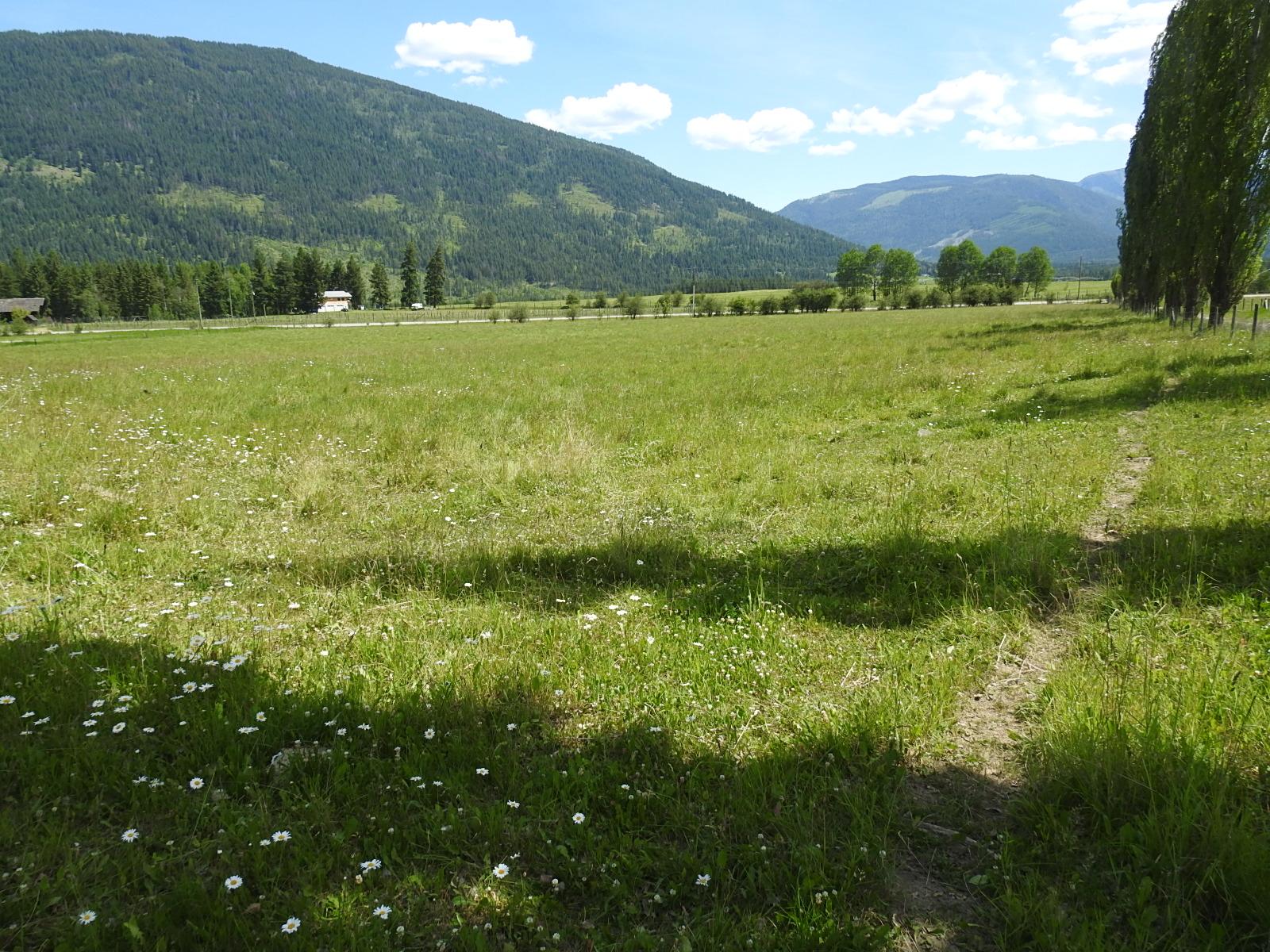 









Lot 149


6

Highway,
Cherryville,







BC
V0E 2G3


