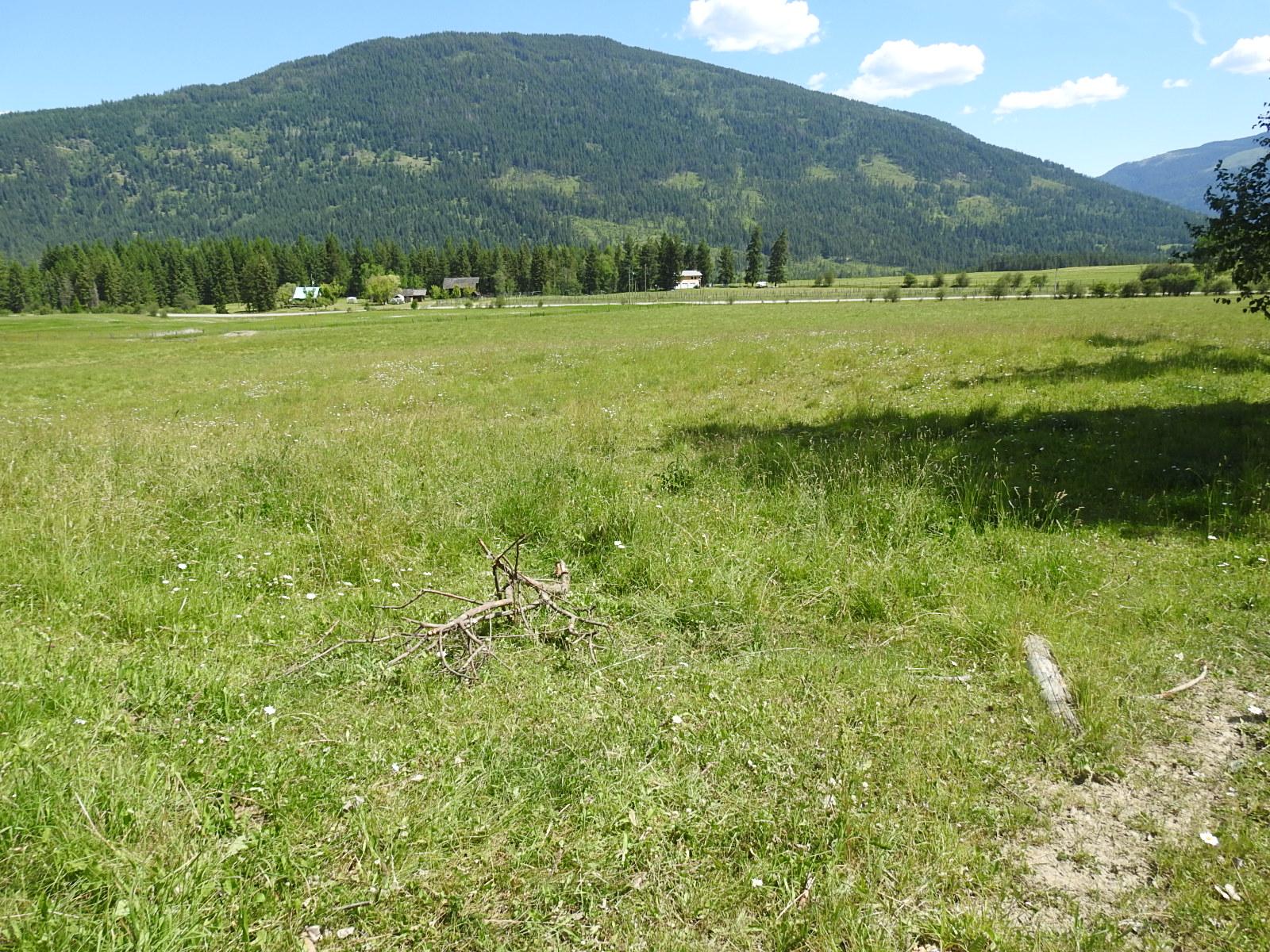 









Lot 149


6

Highway,
Cherryville,







BC
V0E 2G3

