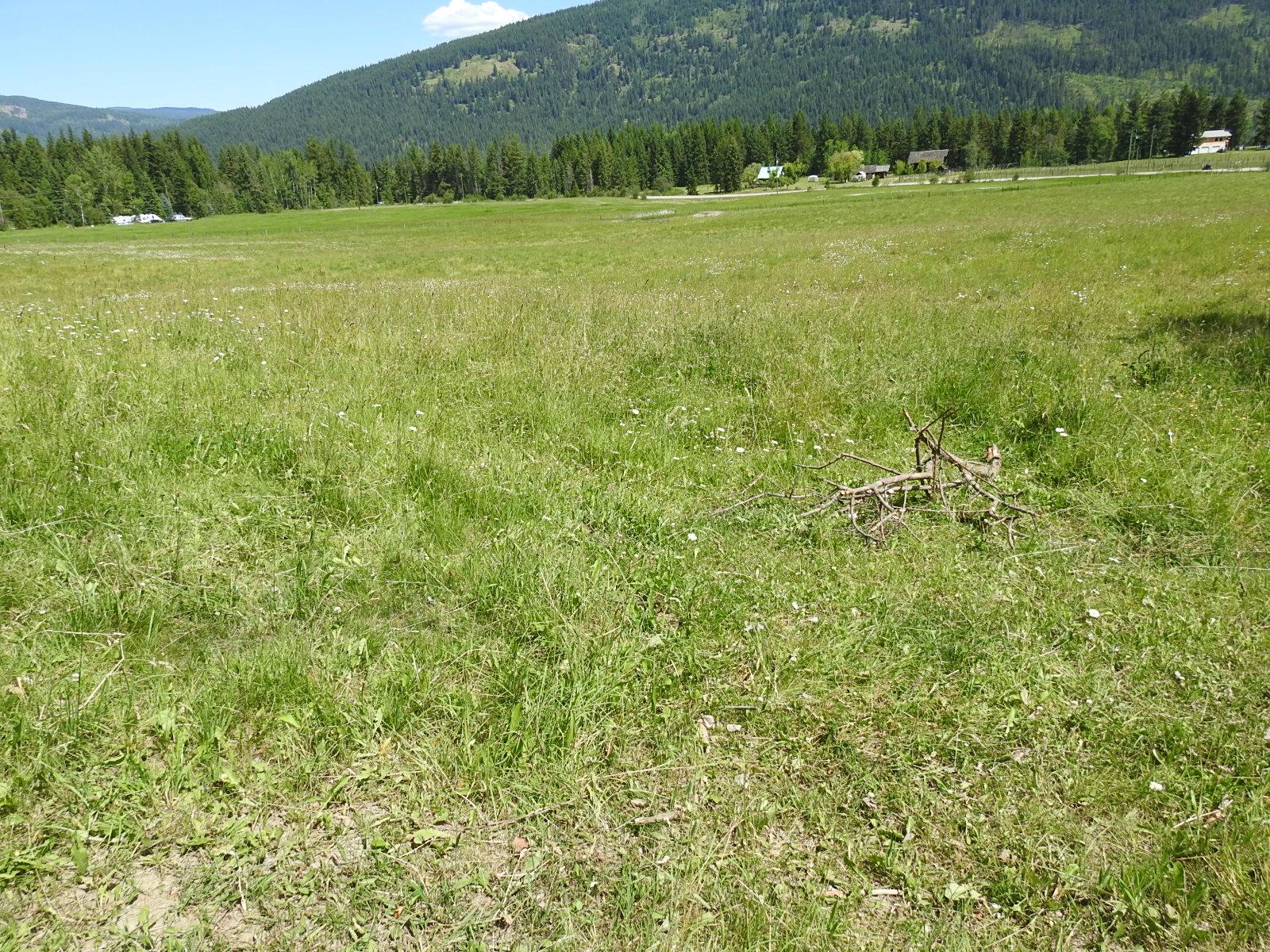 









Lot 149


6

Highway,
Cherryville,







BC
V0E 2G3


