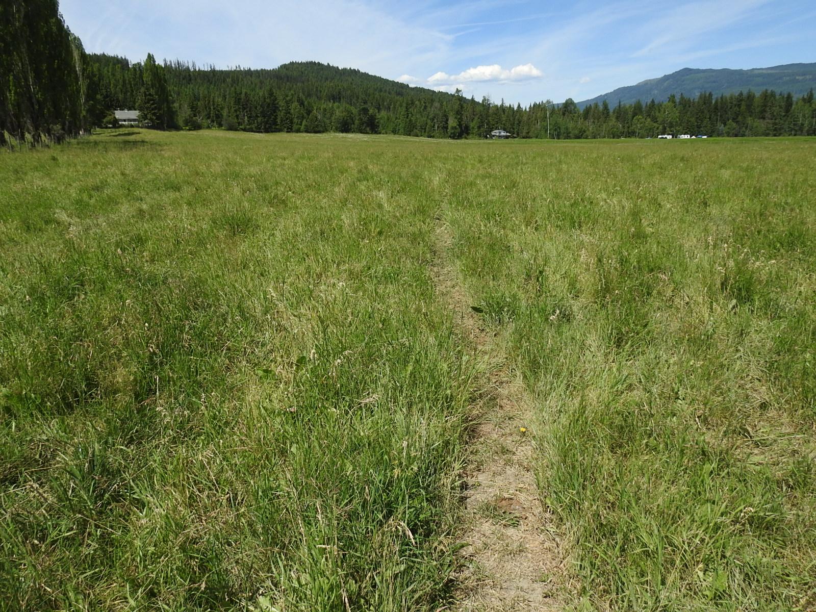 









Lot 149


6

Highway,
Cherryville,







BC
V0E 2G3

