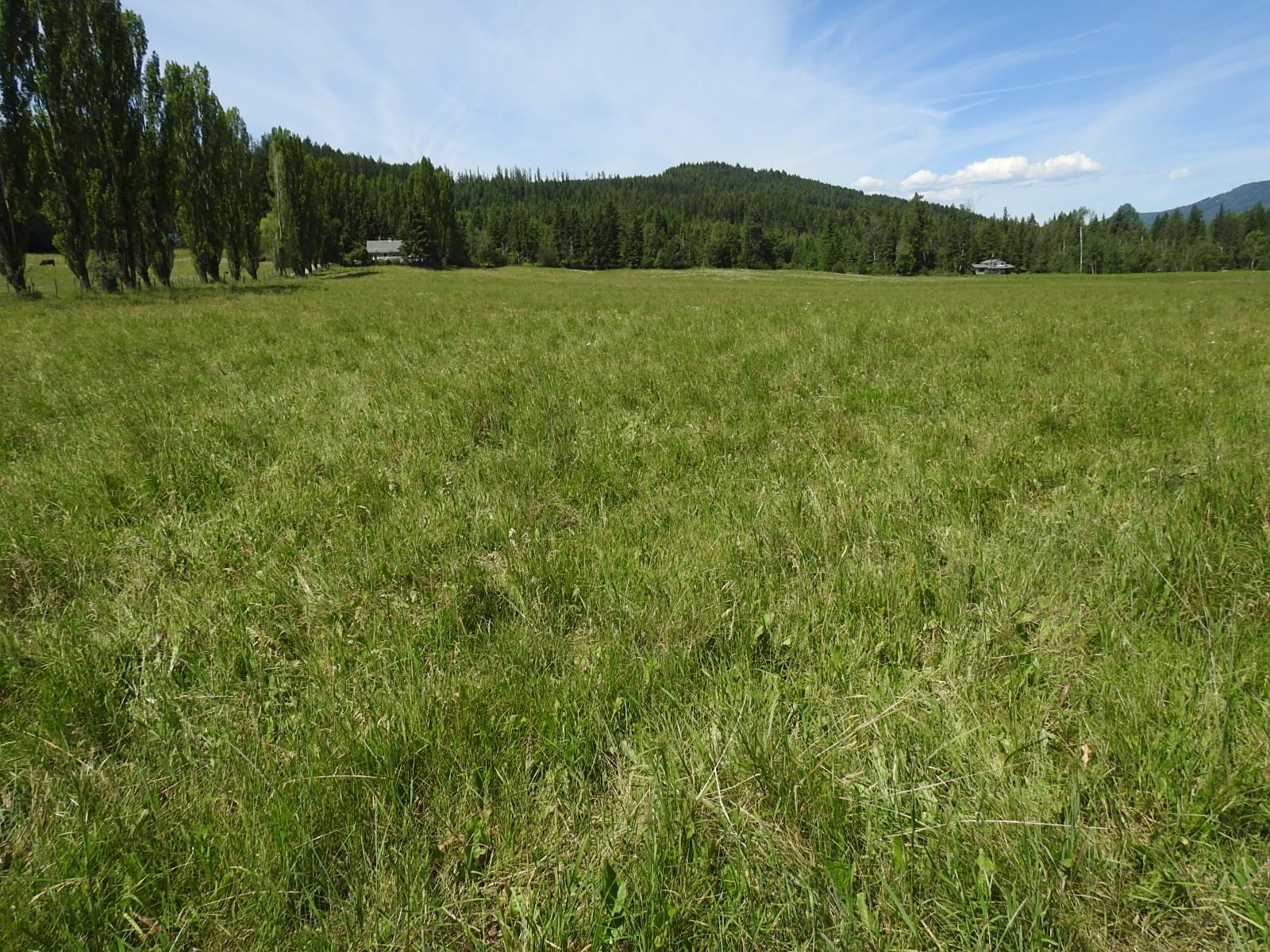 









Lot 149


6

Highway,
Cherryville,







BC
V0E 2G3

