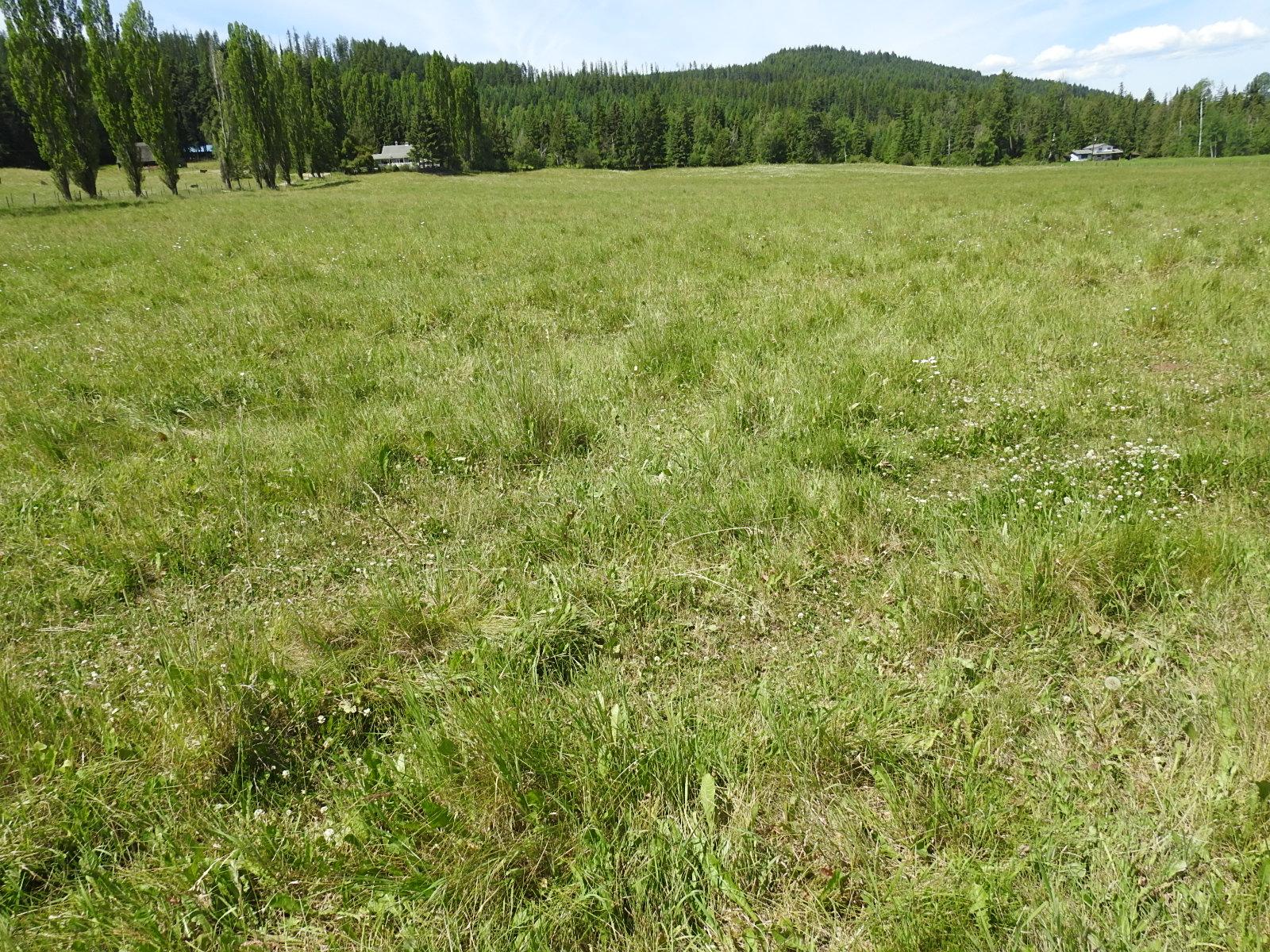 









Lot 149


6

Highway,
Cherryville,







BC
V0E 2G3

